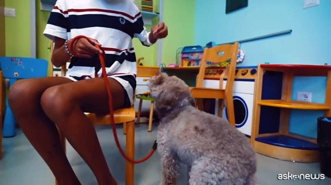 Una campagna per donare Dog Pet Therapy negli ospedali pediatrici