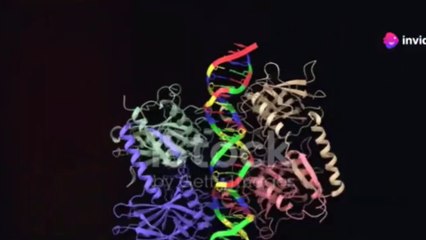 Unlock Cancer Treatment Potential: Fenbendazole & DCA Synergy 🧬