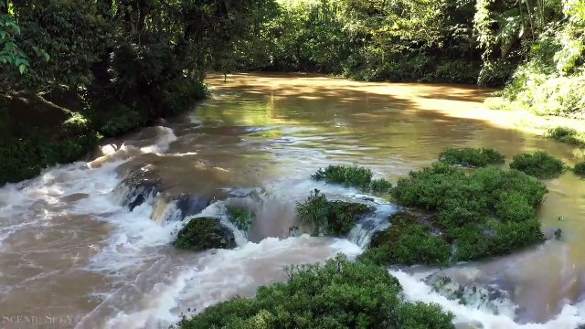 Amazon in 4K The Worlds Largest Tropical Rainforest Aerial Drone Scenic Relaxation Film_720pHF