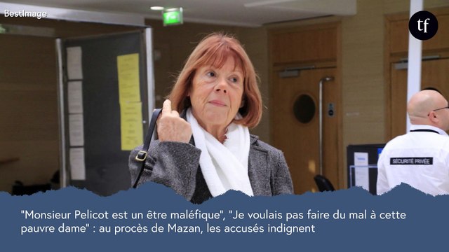 Monsieur Pelicot est un être maléfique , Mon âme est pure : au procès de Mazan, les accusés scandalisent