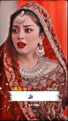 Top Pakistani Drama Clips You Can't Miss 🎬