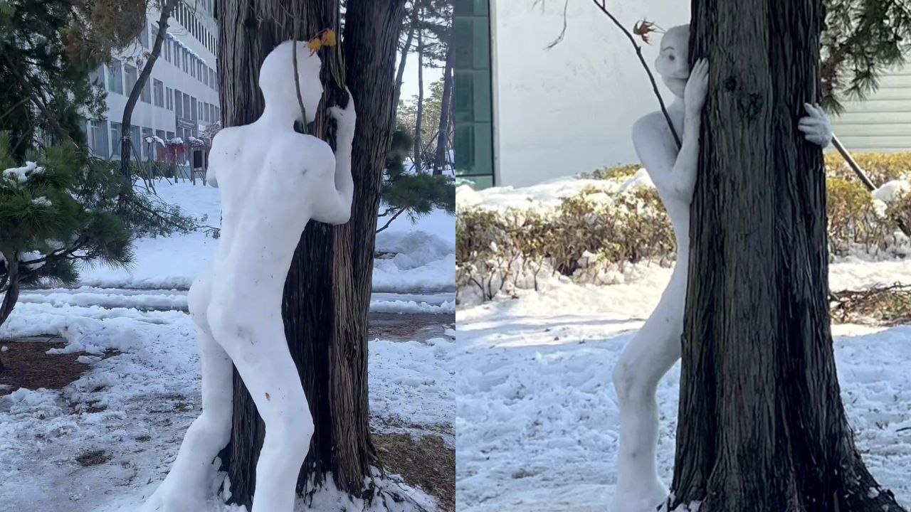 Seltsamer Schneemann, der um einen Baum herumspäht
