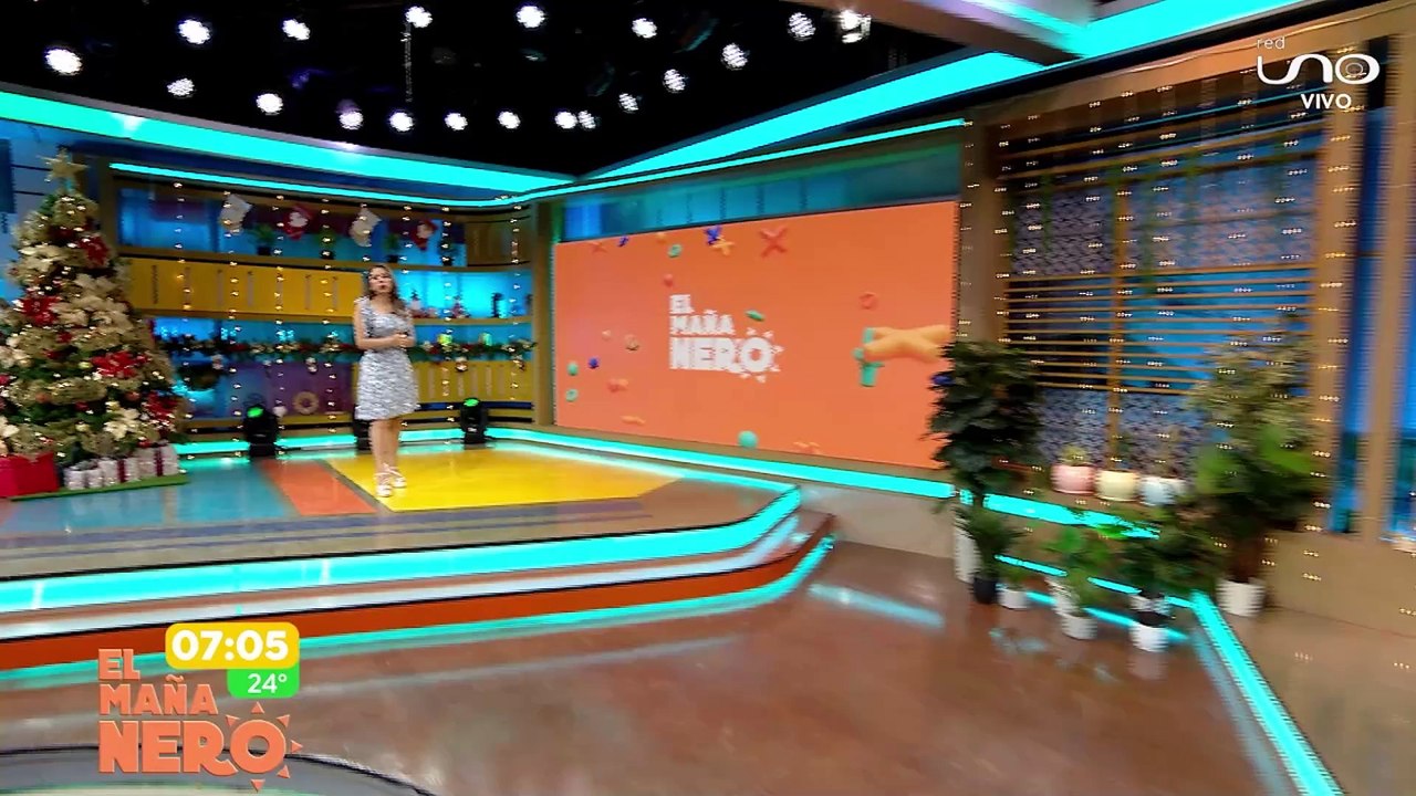 paro maternidad
