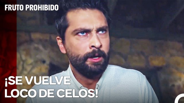 ¡Alihan No Pudo Soportar Ver A Zeynep Con Cem! - Fruto Prohibido Capitulo 27