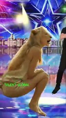 Just For Laughs Gags – Features prank videos and f