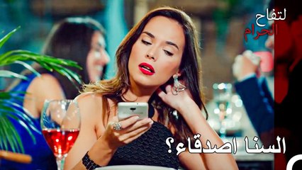 نصائح الحب والزواج من دفنة ليلدز - التفاح الحرام الحلقة ال 46