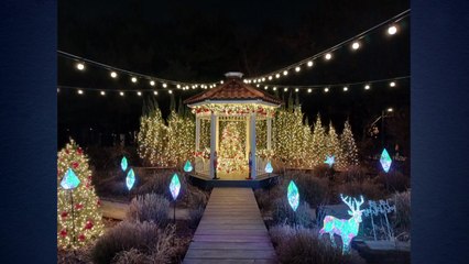 [서울] 남산 정상에 '빛의 연하장'...LED 종이학 4천 개 전시 / YTN