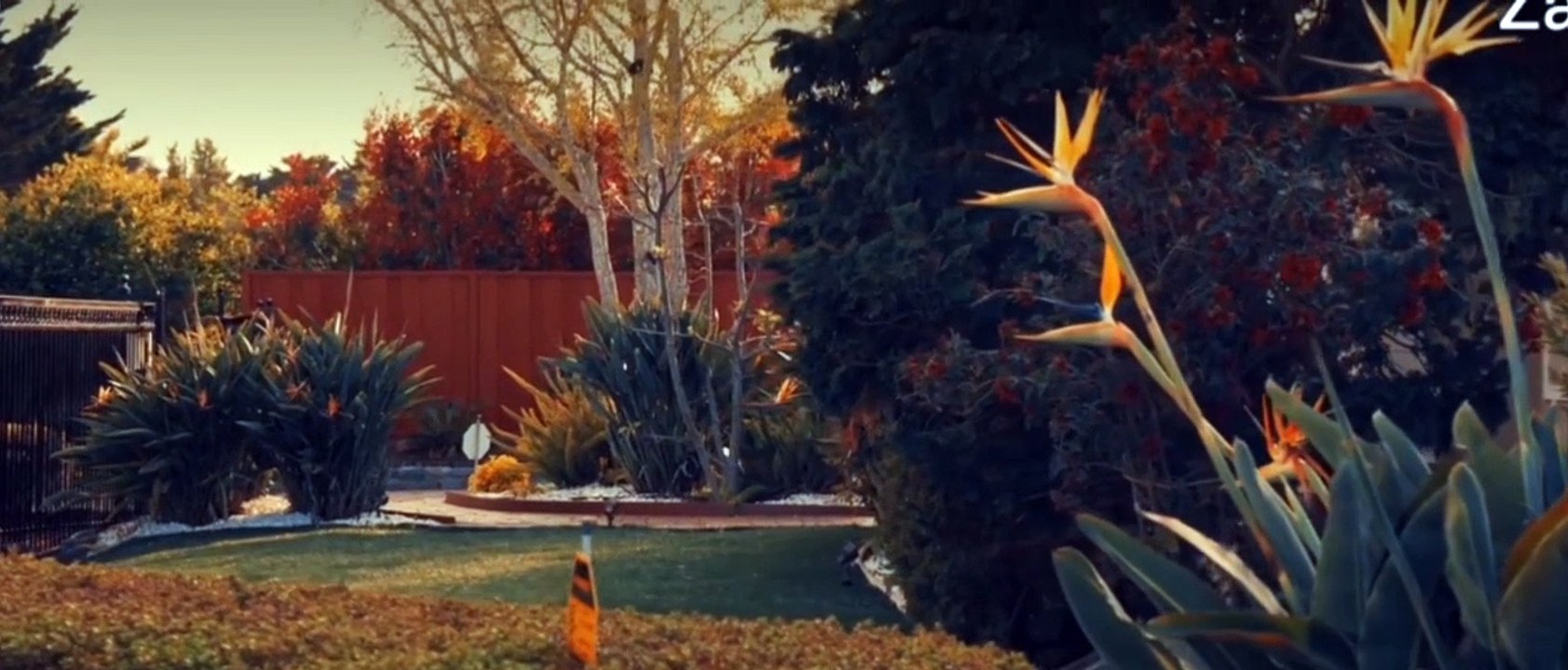 Ferrari S.P.A svj Luxurious Super Car..#viral #trending #shorts #car