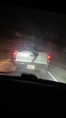 VIDEO: Violento enfrentamiento entre trabajadores de frontera y gendarmes en Argentina