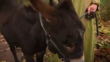 Camilla Plum's Festive Christmas Special 🎄 | S1E1-2 (2009)