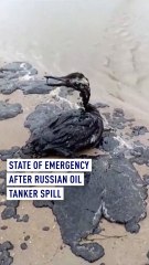 Spilled oil on Black Sea coast after tanker damage