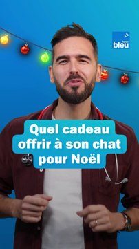 Chats : quel cadeau de Noël leur offrir ?