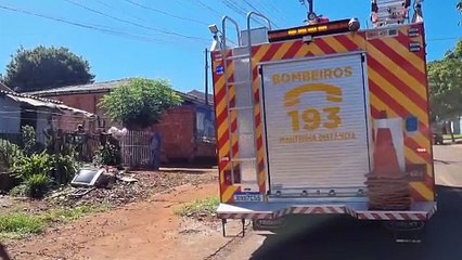 Gato cai em poço e morre afogado no Cascavel Velho