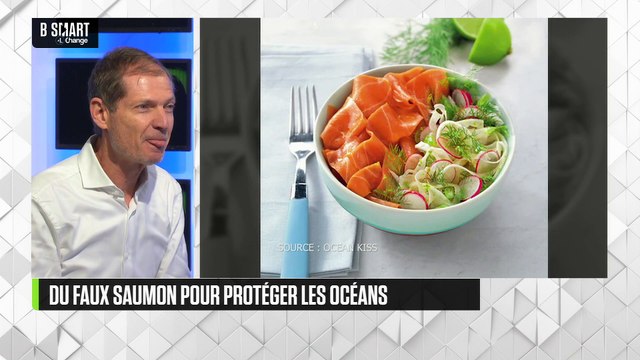 SMART IMPACT - Du saumon fabriqué à base d’algues marines et de plantes