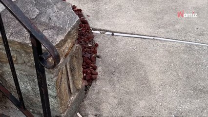 Il appelle la police pour signaler un chien négligé : 6,8M de personnes assistent à l'énorme confusion (vidéo)