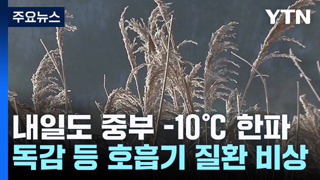 '동지' 코앞에 영하 10℃ 한파...호흡기 질환 '비상' / YTN