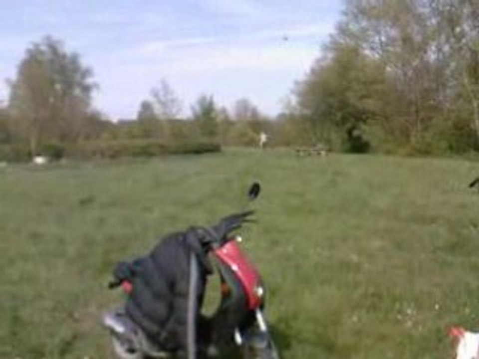 GREG EN YZ