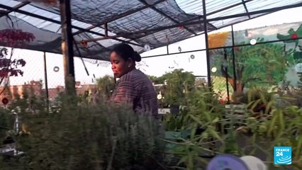 Salud mental de migrantes en México en riesgo por repunte de violencia