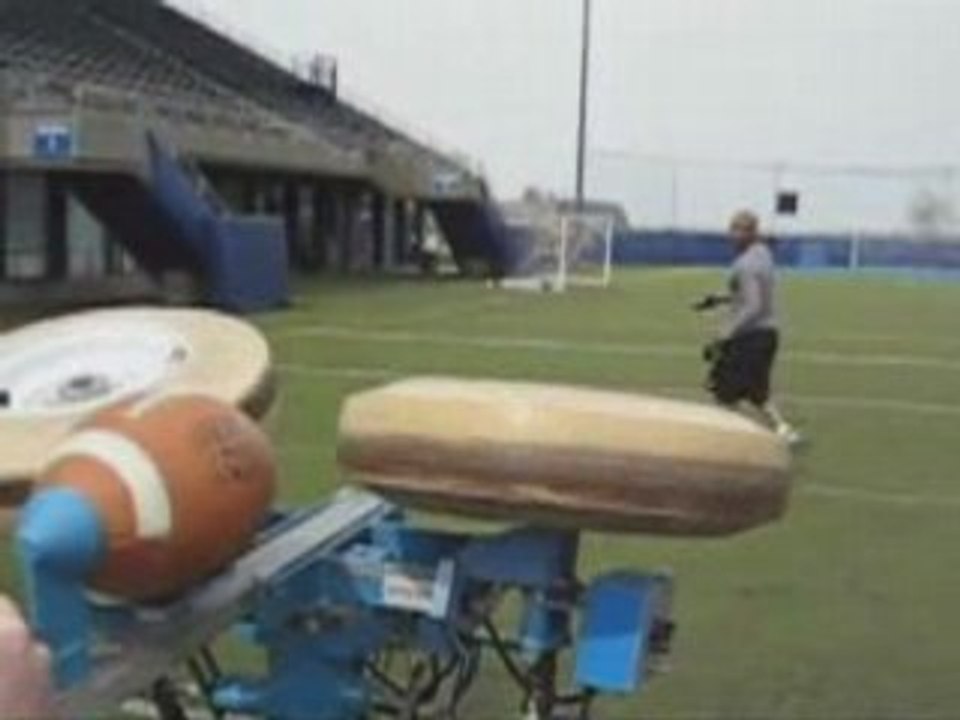 Nfl fantasy03 : deon manuel