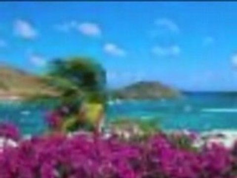 Where we belong nasheed by zain Bikha