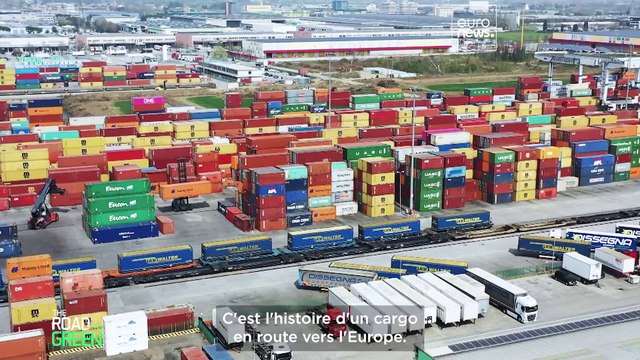 Des frelons aux algues : La menace croissante des espèces exotiques envahissantes en Europe