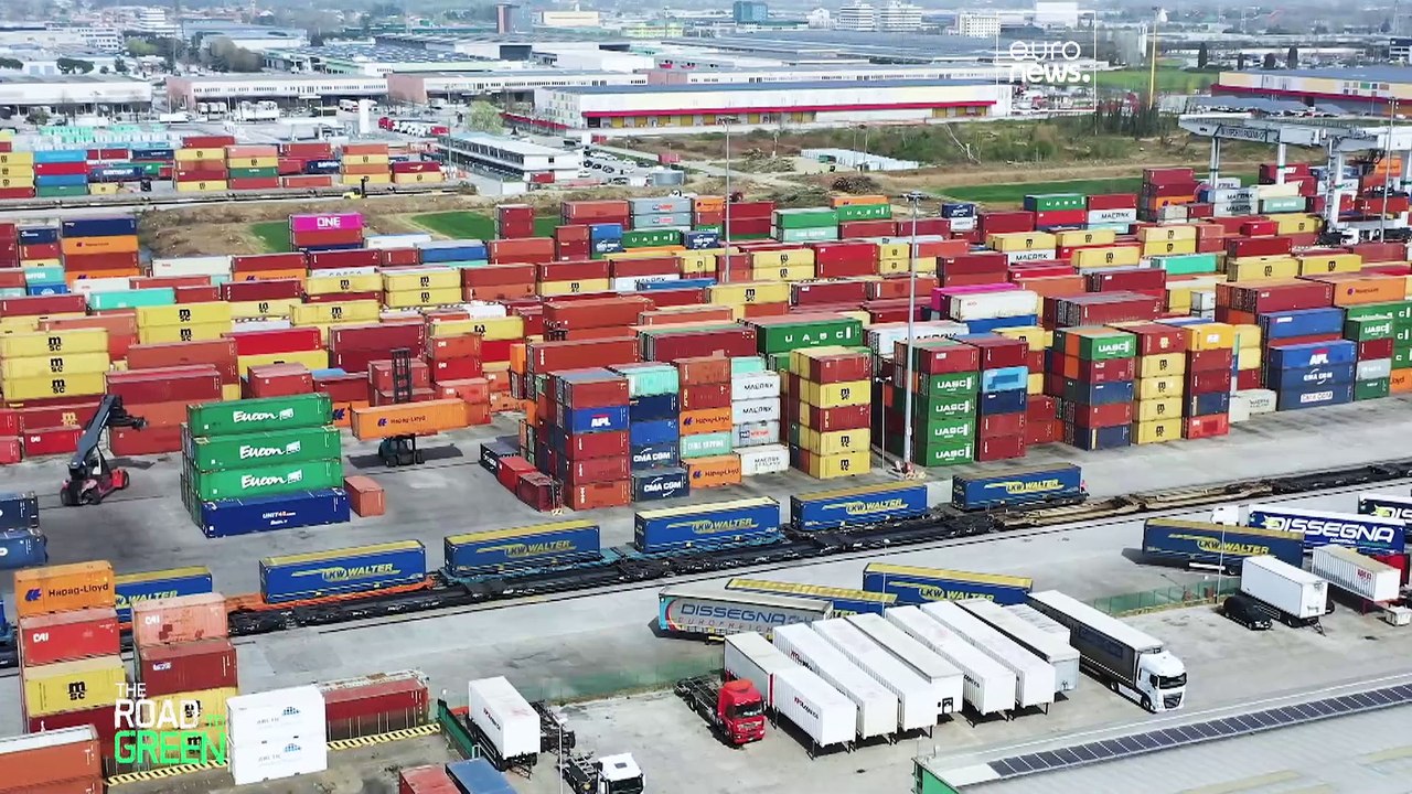 Von Hornissen bis zu Algen: Die wachsende Bedrohung durch invasive gebietsfremde Arten in Europa