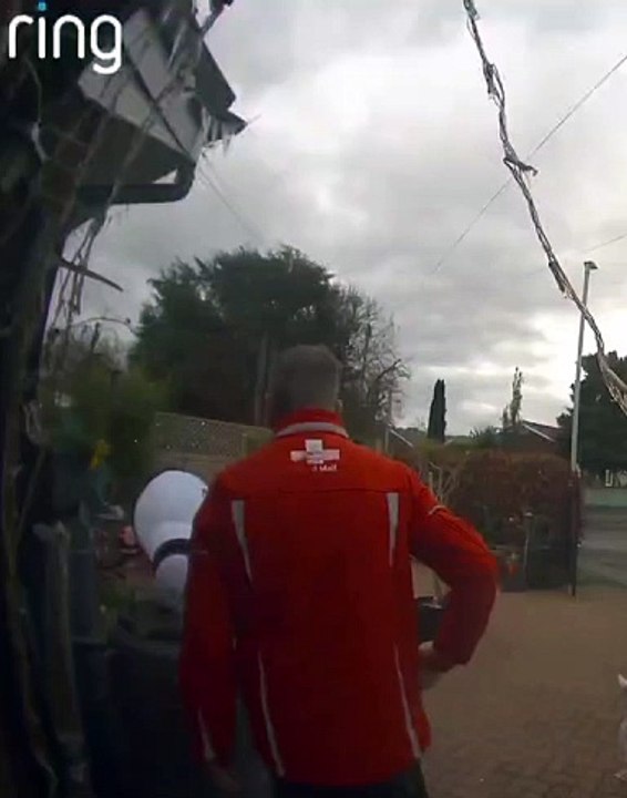 Doorbell footage captures postie saving inflatable snowman