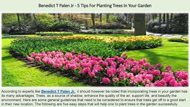 Benedict T Palen Jr - 5 Tips For Planting Trees In Your Garden