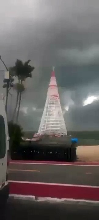 VIDEO: ¡Lo aplastó! Un árbol navideño de 56 metros cayó sobre un joven
