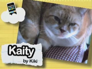 Ultra Kawaii - Cellphone Submissions!