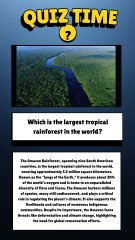 Discover the Largest Tropical Rainforest in the World 🌳