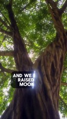 The Guiding Light of the Moon and Its Effects on Humanity