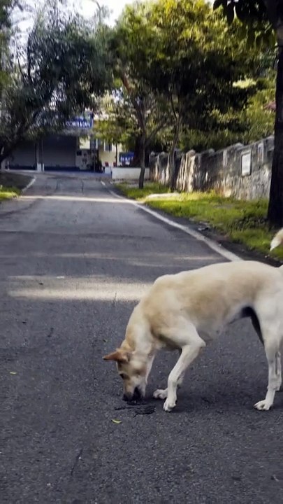 Unbelievable Truths That Will Change Your View on the World!”