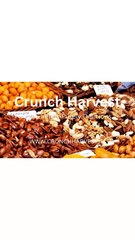 Winter Special Dry Fruits Platter