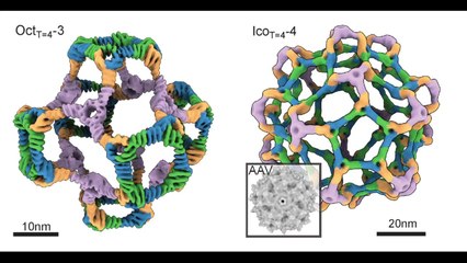 포항공대 교수·노벨화학상 수상자 공동연구 '네이처' 게재 / YTN