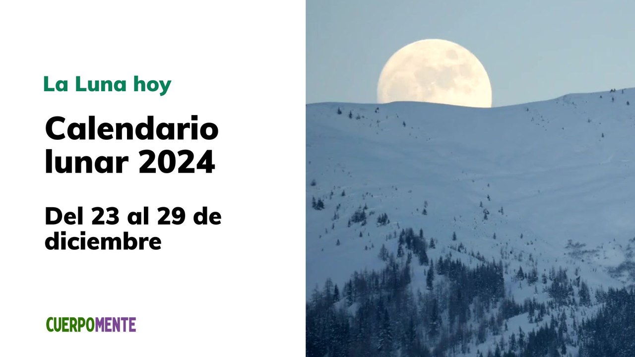 Luna del 23 al 29 de diciembre 2024