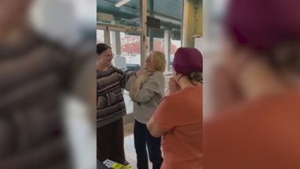 Graban el encuentro de un gato con su dueña tras estar un mes perdido en el aeropuerto