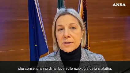 Ciriani:  "In Veneto si indaga su caso sospetto malattia del Congo"