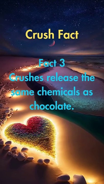 Crush Fact2