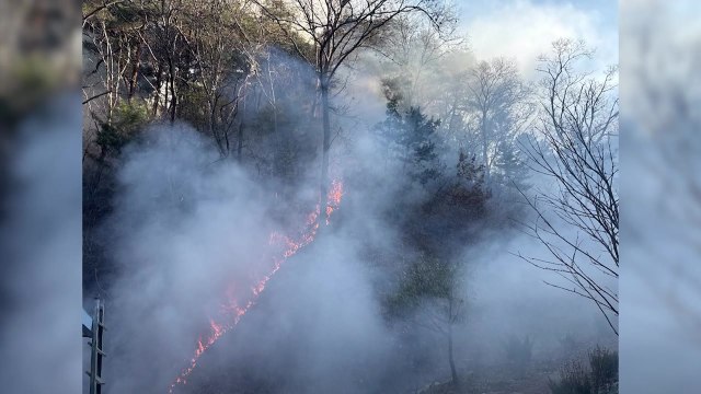 춘천 야산 화재...헬기 투입해 1시간 만에 진화 / YTN