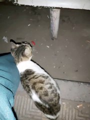 Met this cutie in my shift at the hospital last night