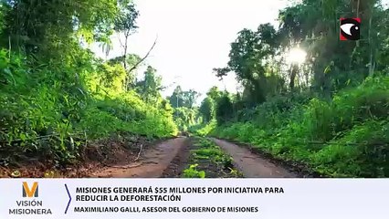 Misiones generará $55 millones por iniciativa para reducir la deforestación