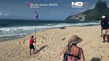 No Comment : visite insolite d'une otarie sur la plage d’Ipanema
