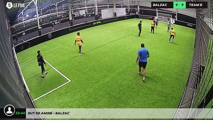 But de Amine - Balzac