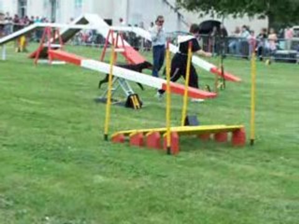 valea agility