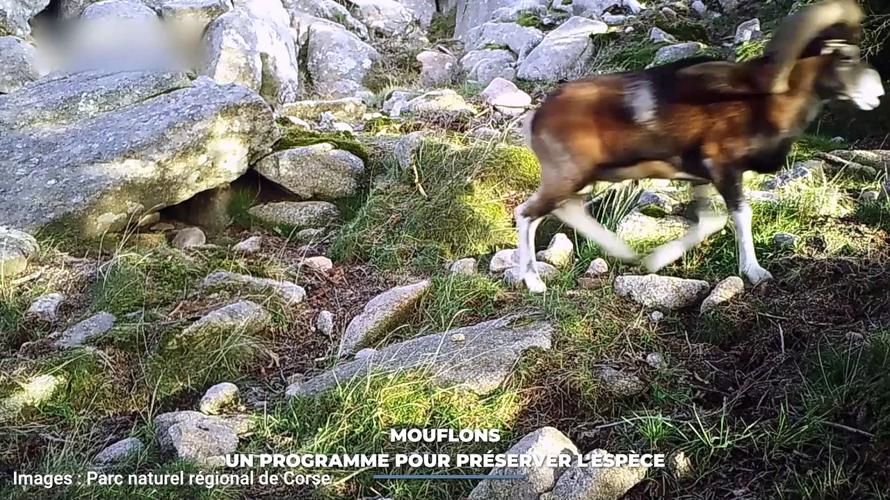 Le Grand J.T. des Territoires d 4 janvier 2025