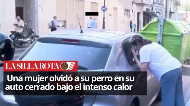 Deja a su perro adentro del auto y lo encuentra sin vida en Argentina