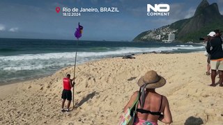 Sea lion makes unusual visit to Ipanema beach