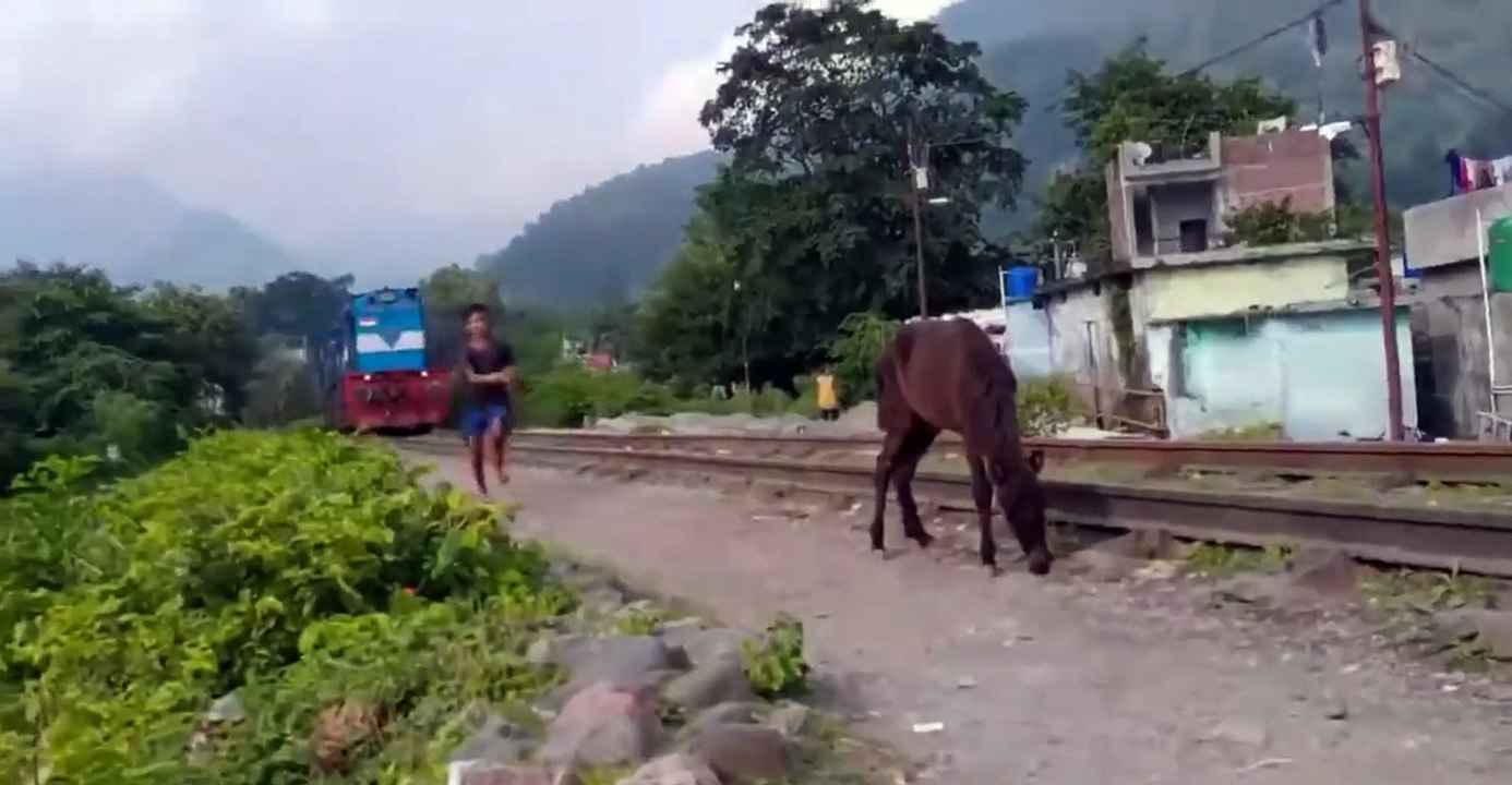 Train Track Rescue (video)