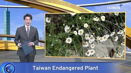 Taiwan Successfully Cultivates Endangered Plant in School